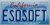 EsoSoft Corporation